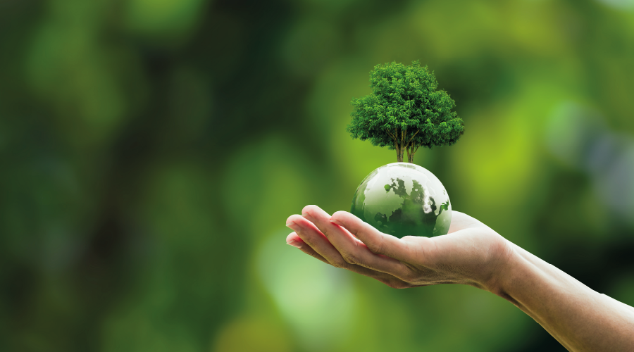 İsrafsız bir dünya nasıl olur?