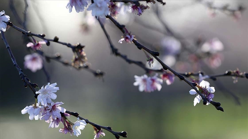 Cemreler ne zaman düşecek?