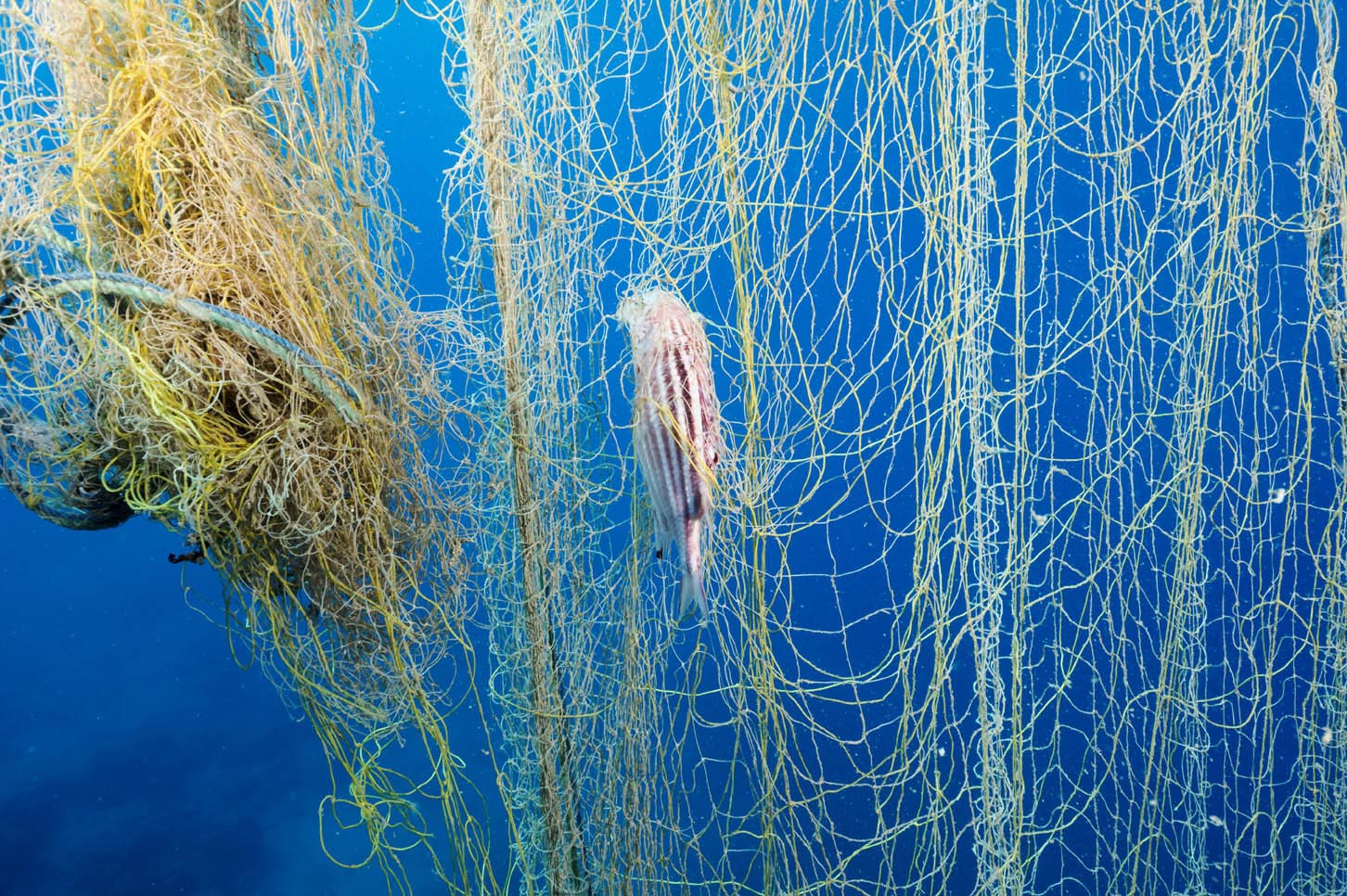 Çanakkale Boğazı 20 bin metrekare hayalet ağdan kurtarıldı