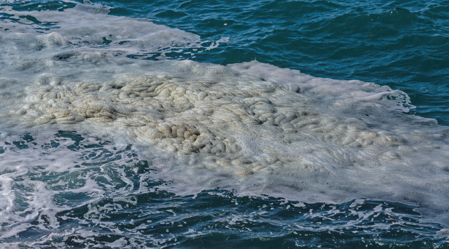 Marmara da müsilaj oluşumu azalmaya başladı