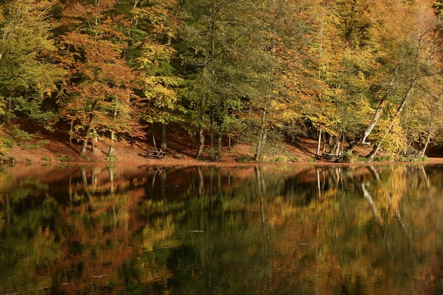 Yedigöller de sonbahar renkleri