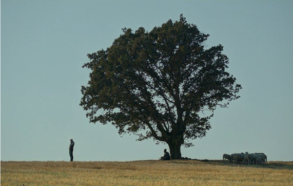 Bir hesaplaşma ve helalleşme hikâyesi