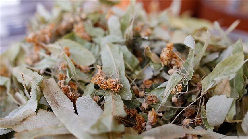 Açıkta satılan kış çaylarına dikkat!