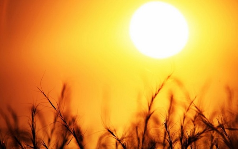 Güneşin yeni bir faydası daha!