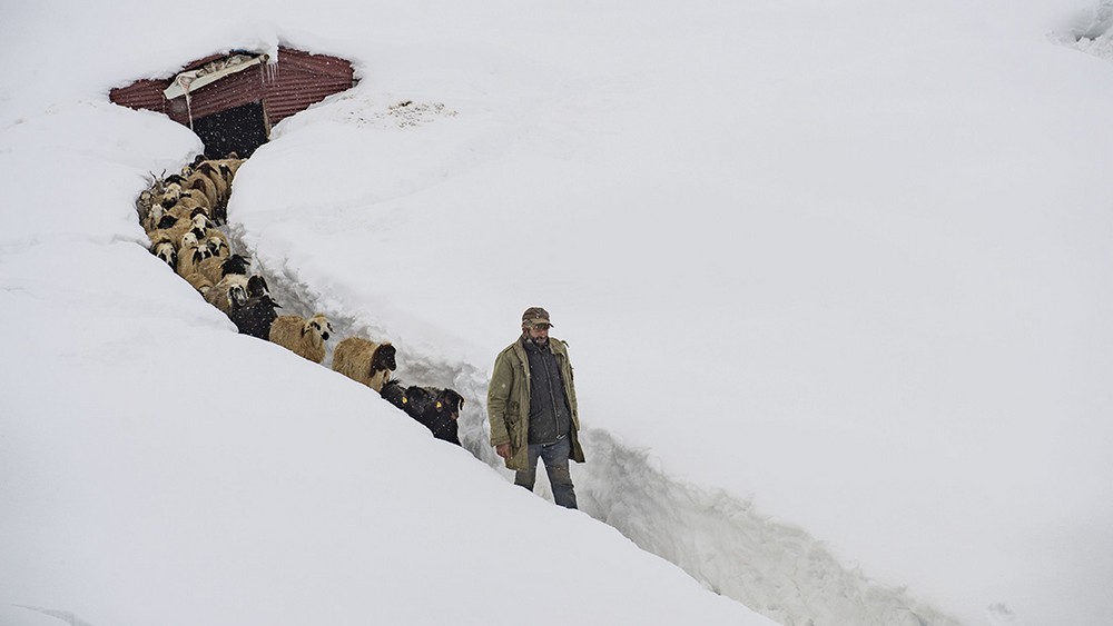 Çiftçiler kar yağışını bereket olarak görüyor