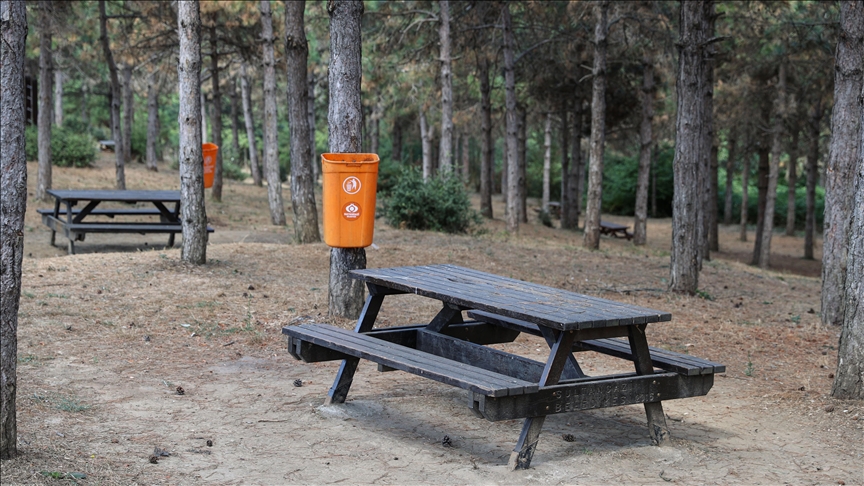 Ormanlara girişler 31 Ekim'e kadar yasaklandı!