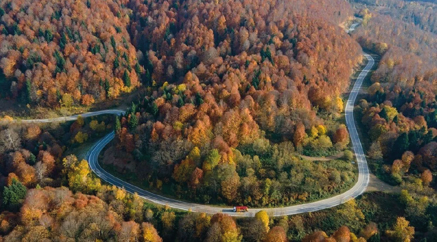 Çam Dağı’nda Sonbahar Manzarası