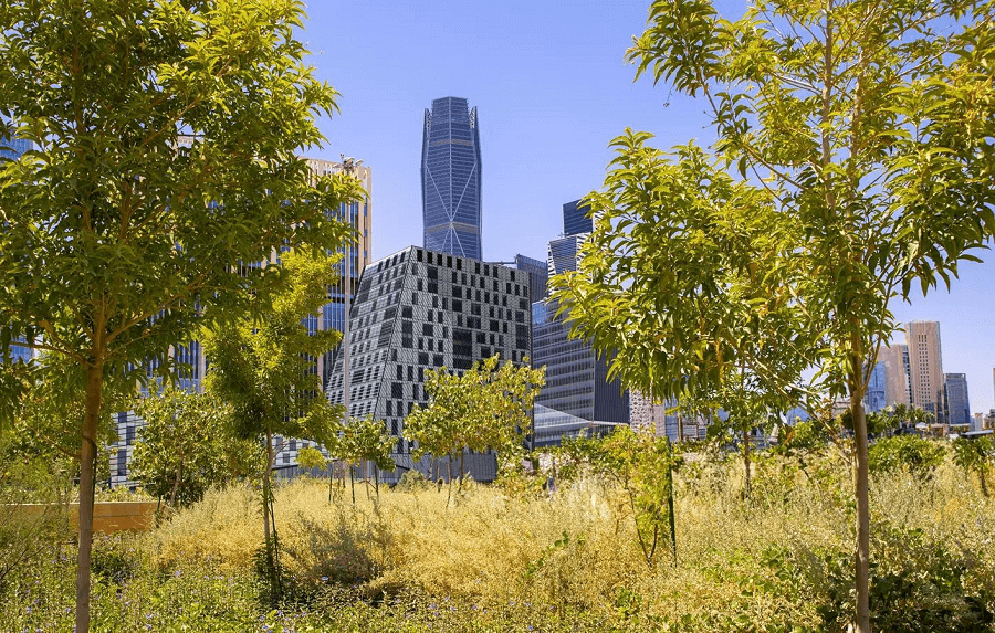 Suudi Arabistan’dan 10 milyar ağaç hedefi