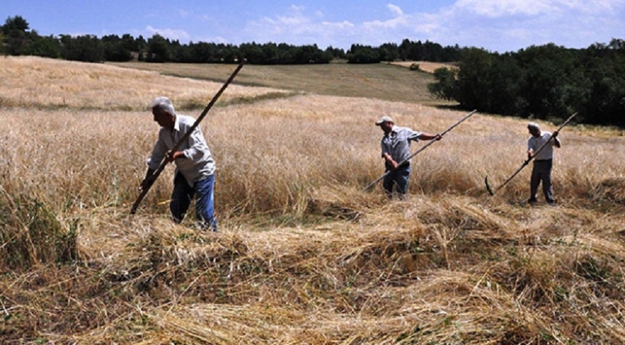 Anadolu'da imece ve yardımlaşma kültürü