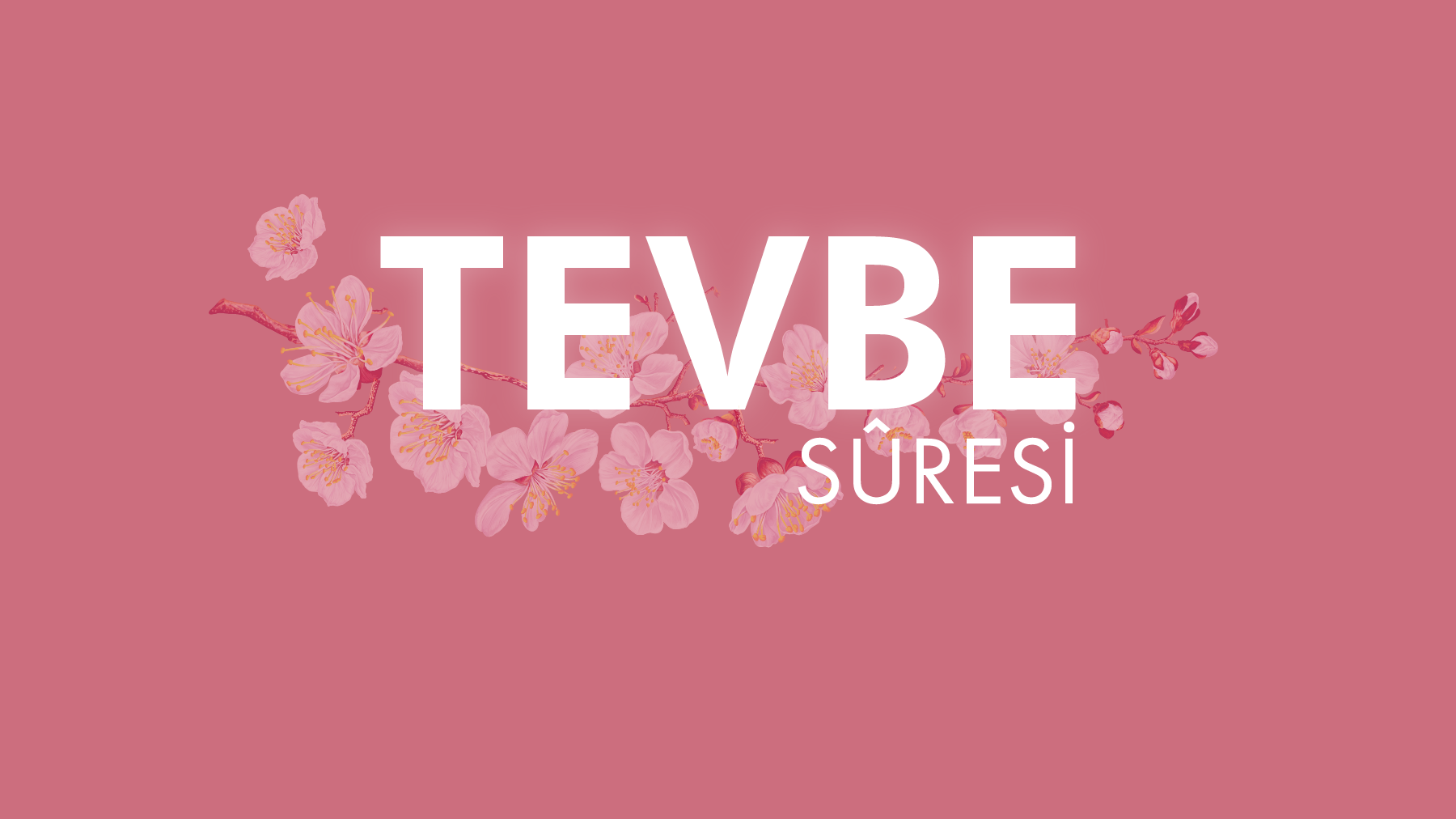 Tevbe Sûresi bize ne anlatır?