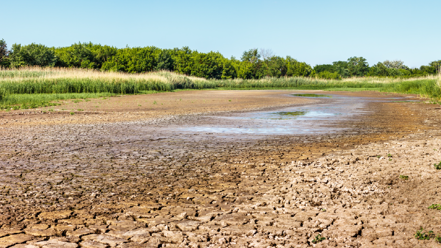 Büyükçekmece Gölü'nde kırmızı alarm