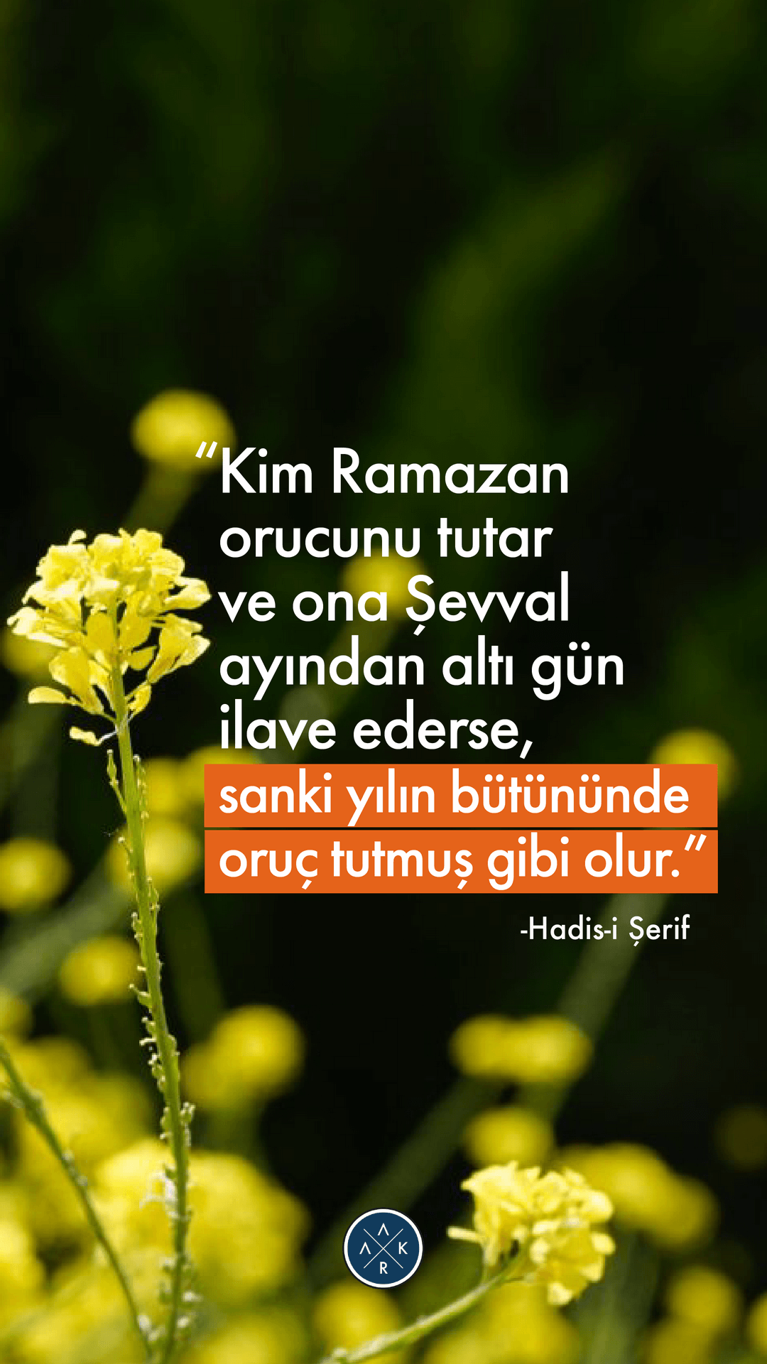 PEYGAMBERİMİZİN DİLİNDEN DUALAR