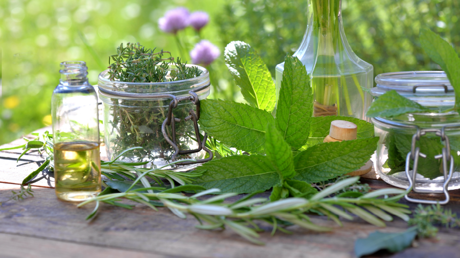 Doğanın şifası kokuda saklı