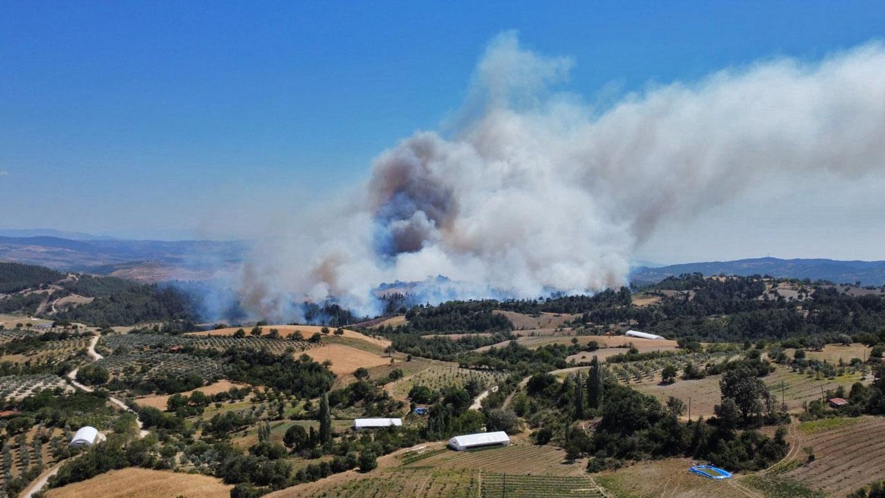 Orman yangınlarının yüzde 48'i ihmalden