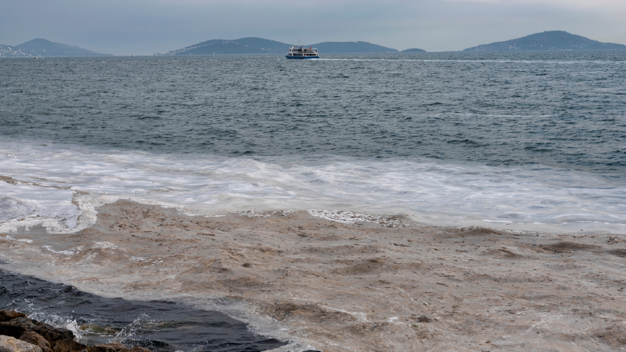 Marmara için müsilaj uyarısı