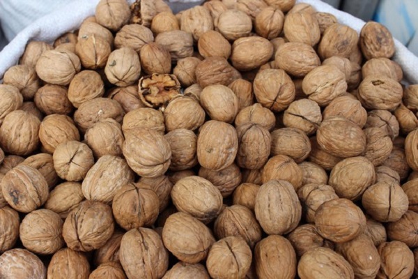 Cevizde yerli üretim ne durumda?