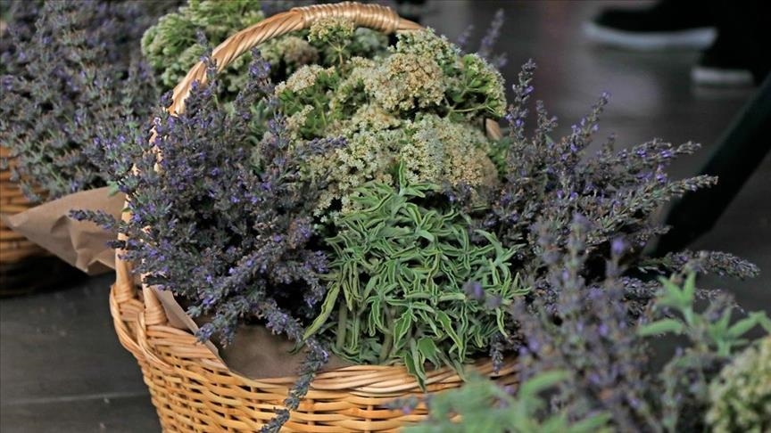 Tıbbi aromatik bitkiler rastgele kullanılmamalı