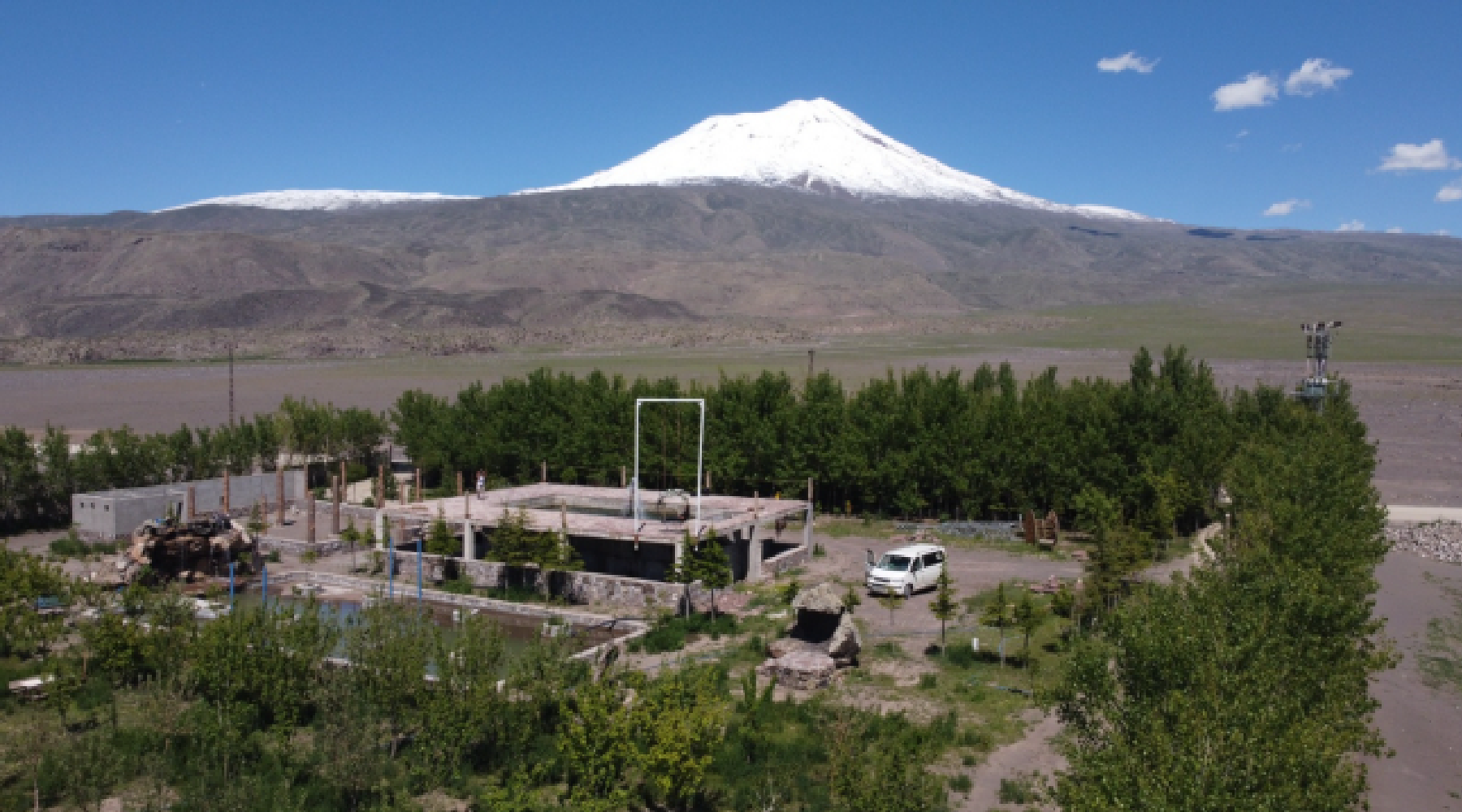 Bozkırda Orman Kurdu