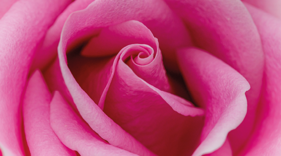 Peygamber Efendimiz (SAS)’in Ramazan Bayramı Sünnetleri