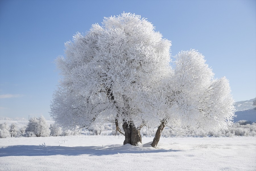 Tunceli'de kış manzaraları