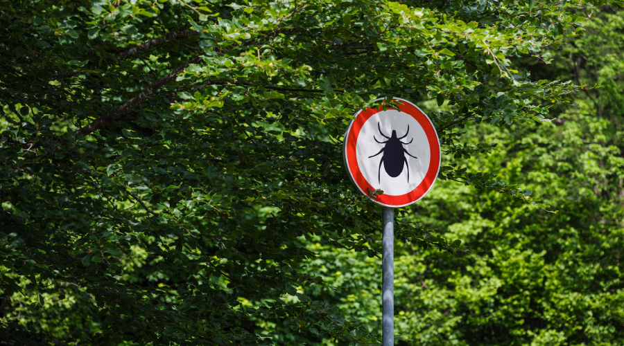 Havalar ısındı, kenelere dikkat