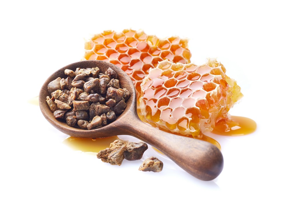 Avustralya'da yeni propolis türleri bulundu