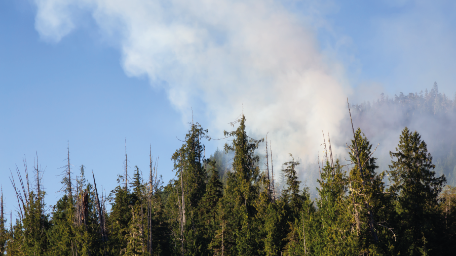 Kuruyan toprakta yangın riski artıyor