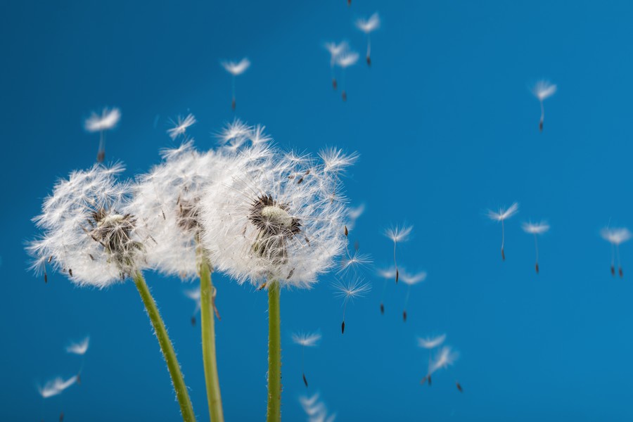 8 soruda alerji ile ilgili merak edilenler