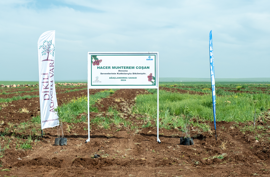 Hâcer Muhterem Coşan adına Urfa ve Kilis’te meyve bahçeleri kuruluyor
