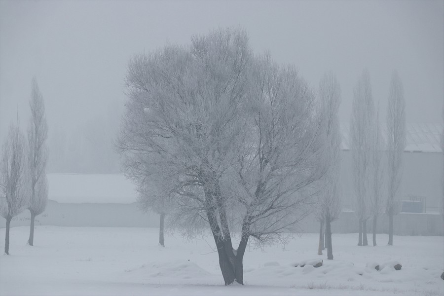 Doğu Anadolu'da dondurucu soğuklar sürüyor