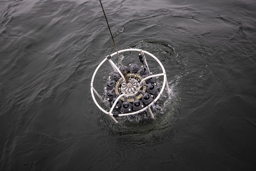 Marmara Denizi'nde oksijen azalıyor