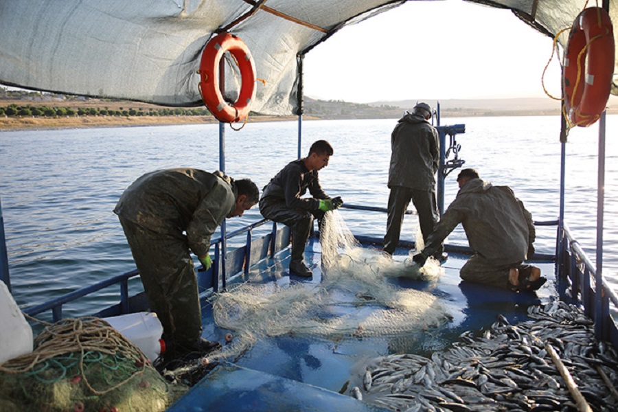 Van'daki balıkçılar mesaiye başladı