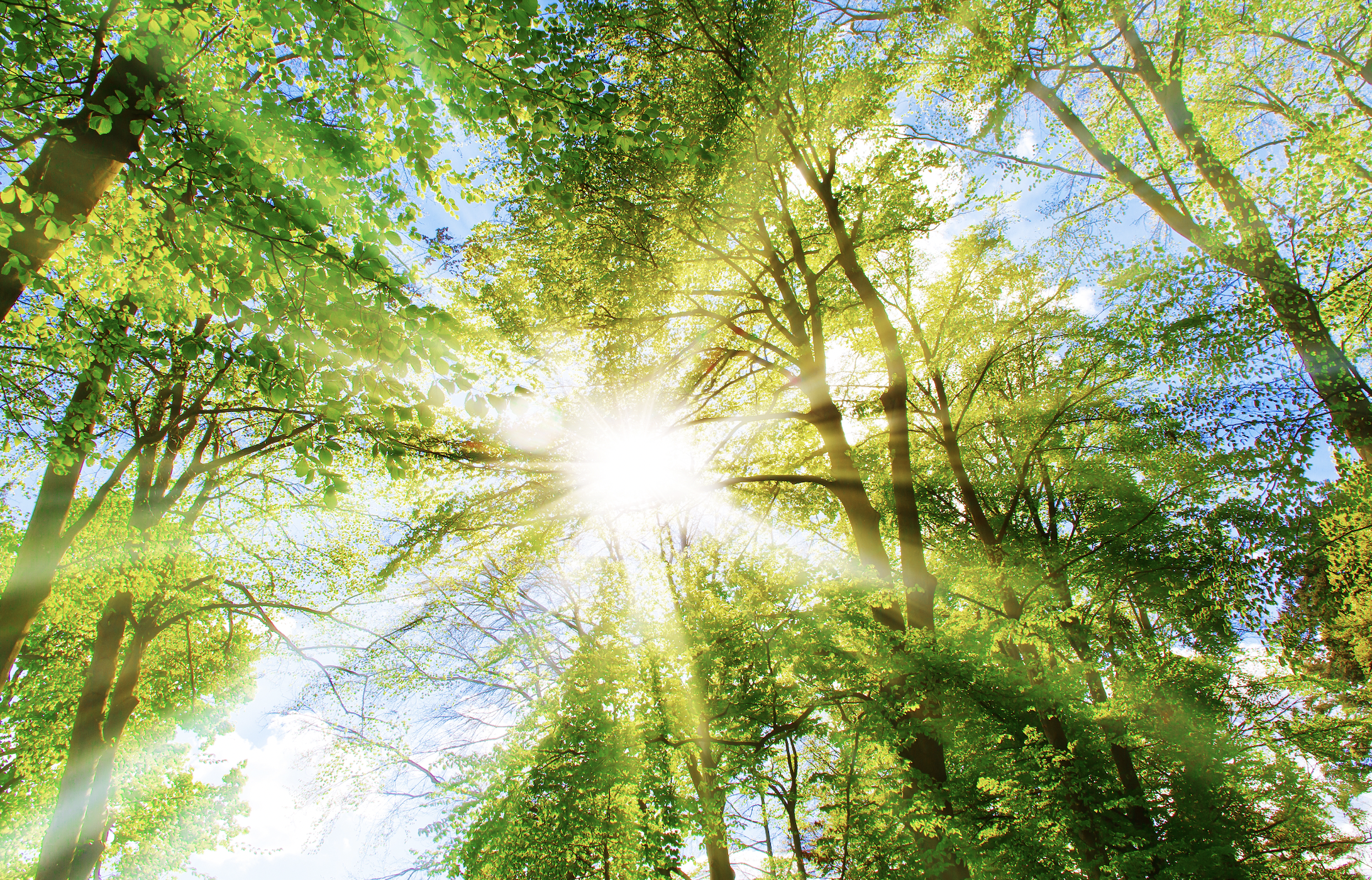 Doğal yollarla güneşten korunmak mümkün