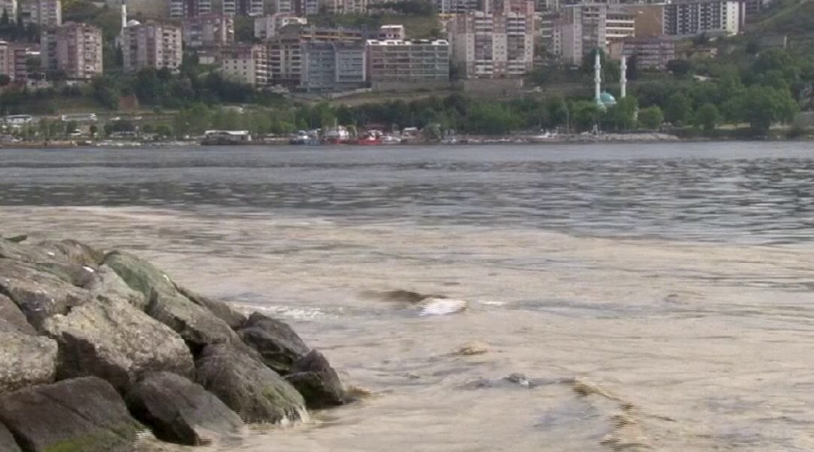 Müsilaj Gemlik'e de sıçradı