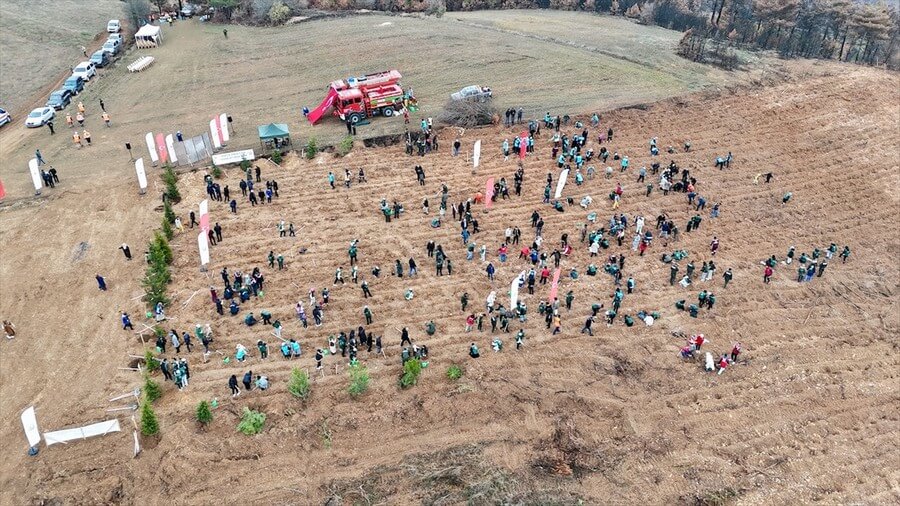 İstanbul’da 50 Bin Fidan Toprakla Buluştu